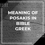 What Does Osakis Mean?
