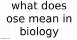 What Does Ose Mean