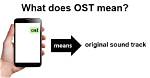What Does Ost Stand for?