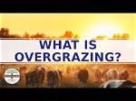 What Does Overgraze Mean?