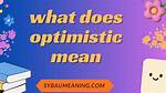 What Does Overly Optimistic Mean?