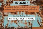 What Does Oxidation Mean