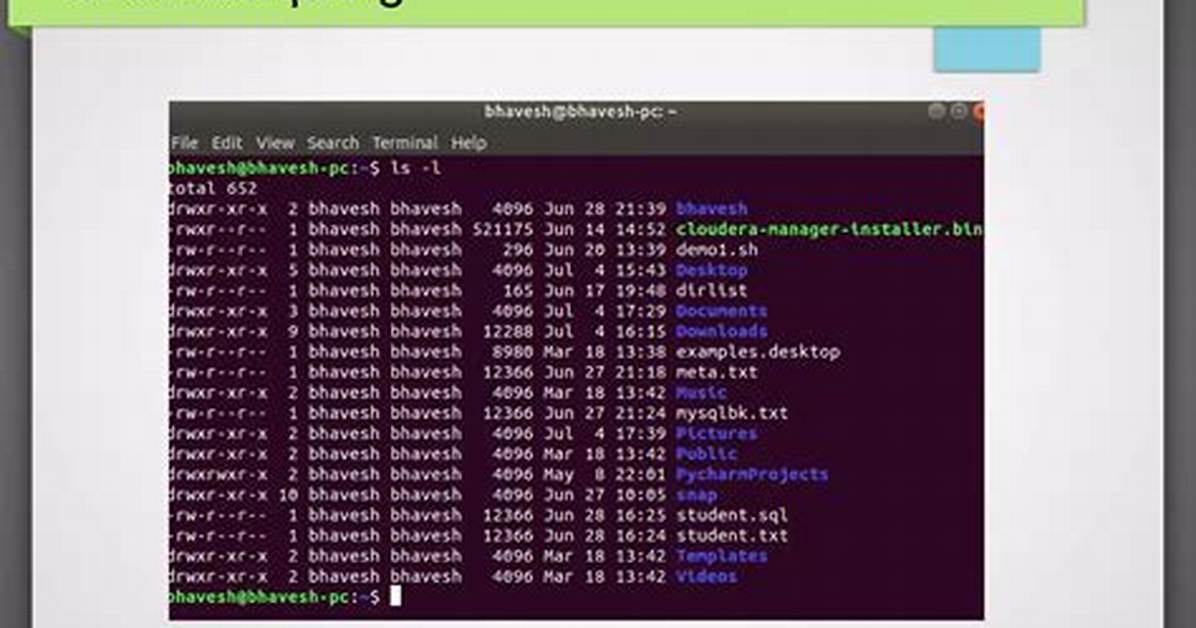 What Does -P Do on Shell Script?