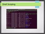 What Does -P Do on Shell Script?