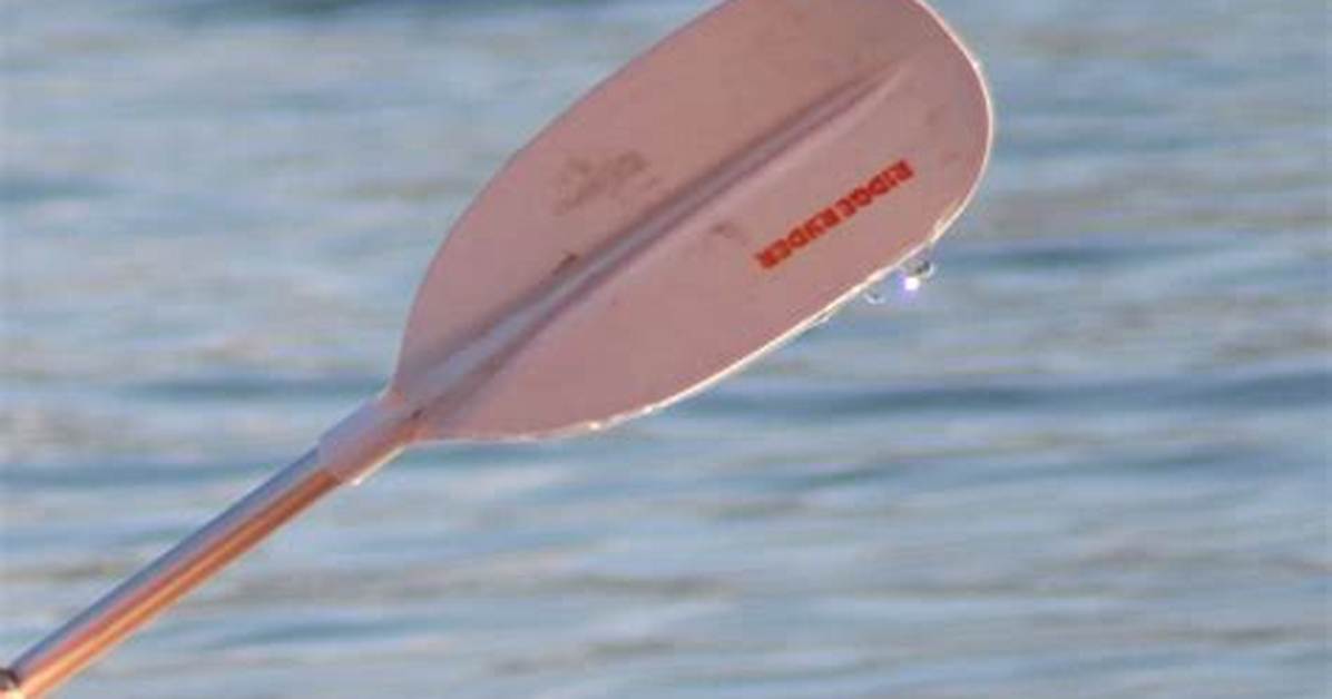 What Does Paddle Mean?