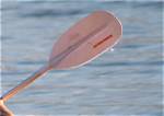 What Does Paddle Mean?