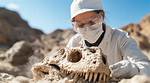 What Does Paleontologists Study?