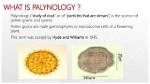 What Does Palynology Study?