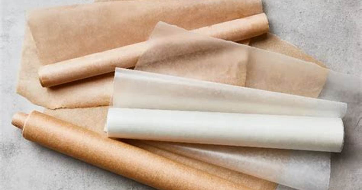 What Does Parchment Mean?