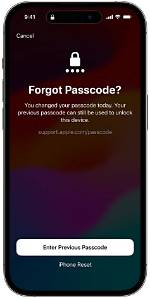What Does Passcode Mean?