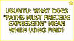 What Does "Paths Must Precede Expression" Mean When Using Find?