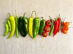 What Does Pepper Do?