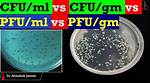 What Does Pfu Ml Indicate