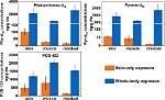 What Does Phenanthrene Mean?
