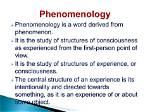 What Does Phenomenality Means?