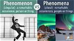 What Does Phenomenon Mean?