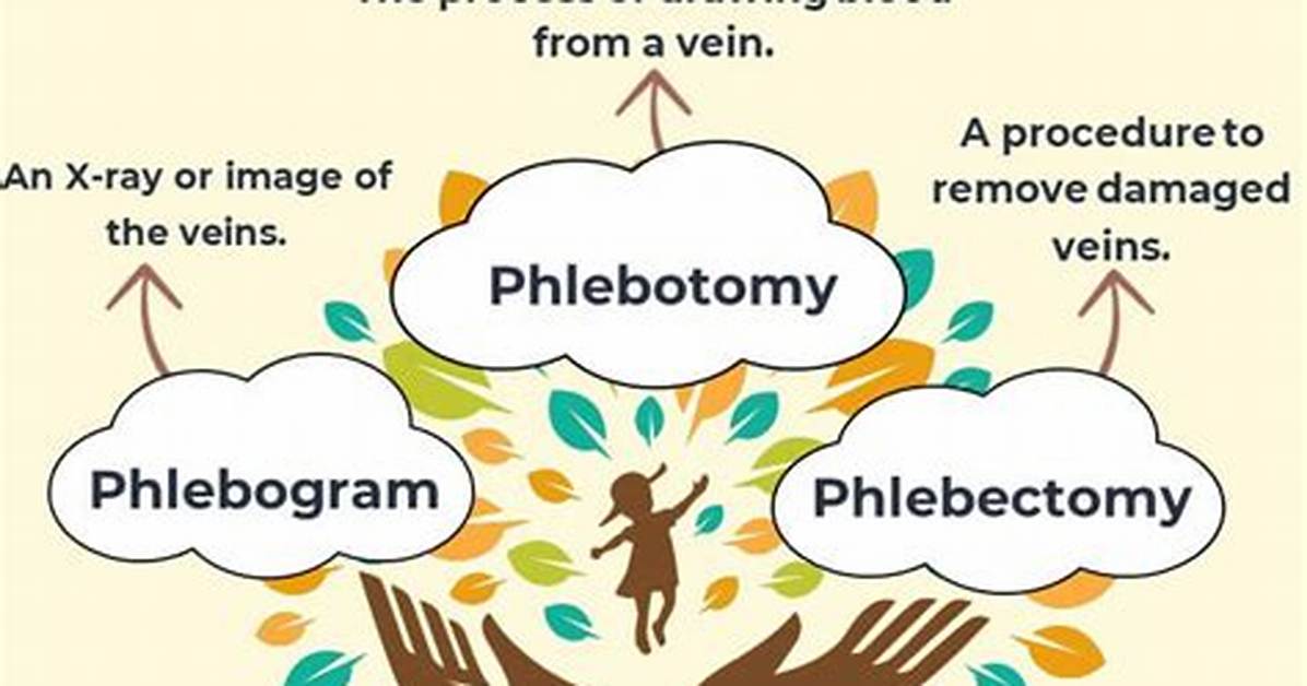 What Does Phleb Stand For