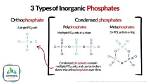 What Does Phosphomolybdate Mean?
