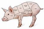 What Does Pig Back Mean?