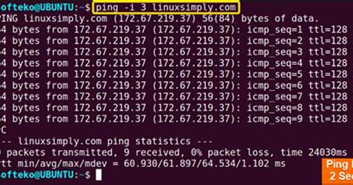 What Does Ping Command Do in Linux?