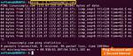 What Does Ping Command Do in Linux?