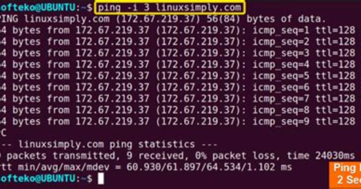 What Does Ping Do in Linux?