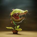What Does Plant Eater?