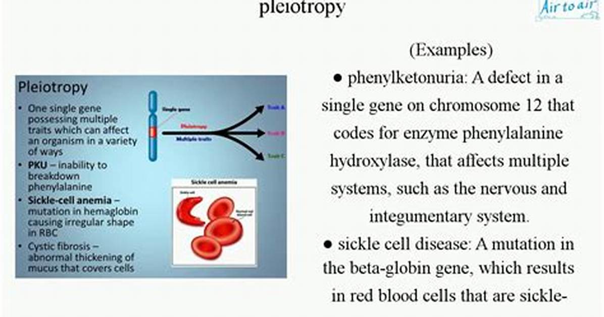 What Does Pleiotropy Mean?