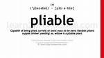 What Does Pliable Mean