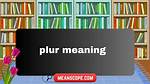 What Does Plur Mean