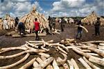 What Does Poaching Mean?