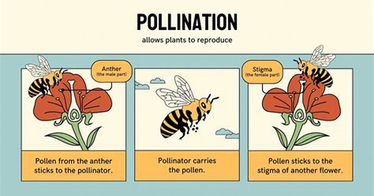 What Does Pollinate Mean?