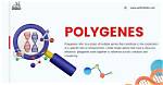 What Does Polygenesis Mean?