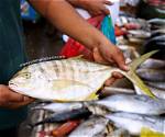 What Does Pompano Mean?