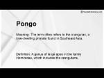 What Does Pongo Mean?