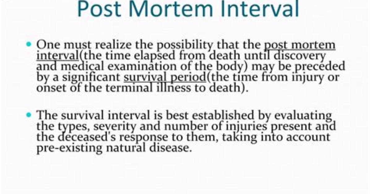 What Does Postmortem Interval Estimations Mean?