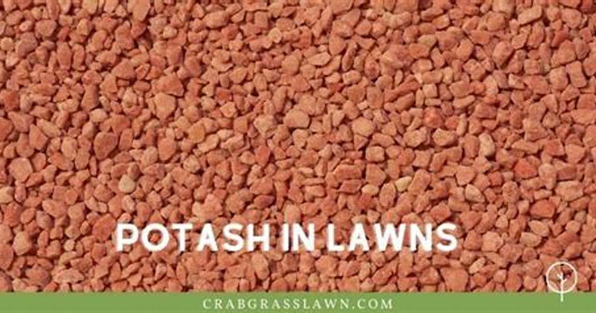 What Does Potash Do for Grass