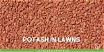 What Does Potash Do for Grass