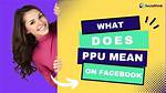 What Does Ppu Mean