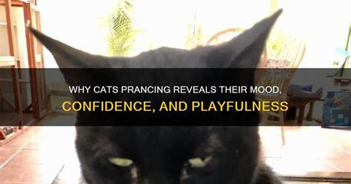 What Does Prancing Around Mean?