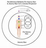 What Does Pre Adamic Mean?