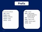 What Does Prefix Allo Mean?
