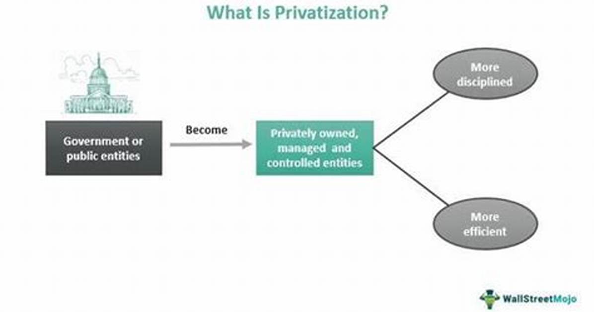 What Does Privatization Mean?