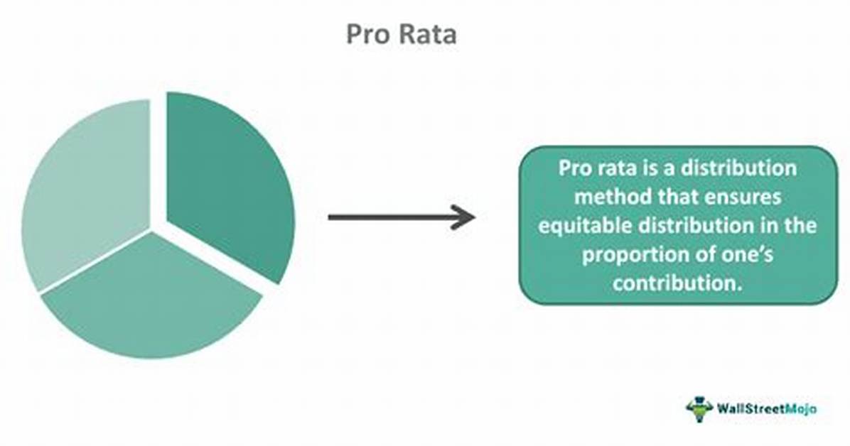 What Does Pro-Rector Mean?