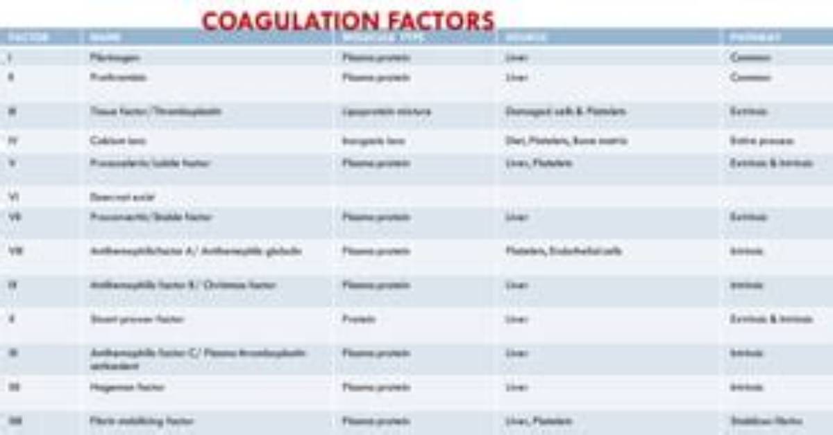 What Does Proaccelerin Mean?