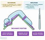 What Does Proctological Mean?