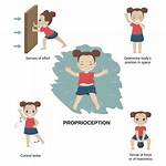 What Does Proprioception Mean