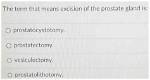 What Does Prostatocystotomy Mean?