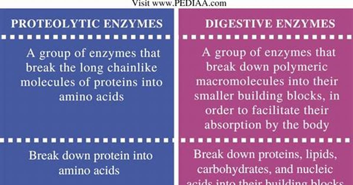 What Does Proteolytic Mean?