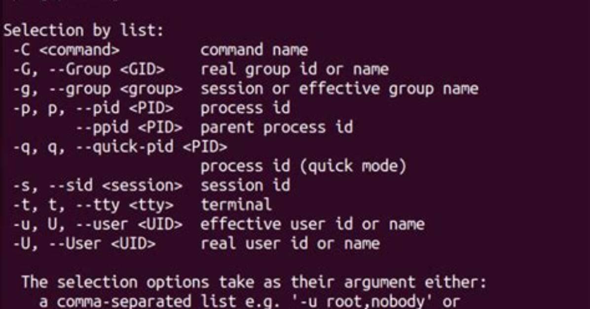 What Does Ps Command Do in Linux?